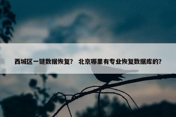 西城区一键数据恢复？ 北京哪里有专业恢复数据库的？