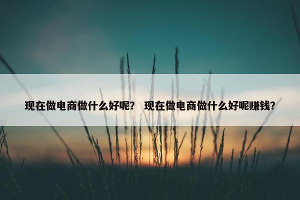 现在做电商做什么好呢？ 现在做电商做什么好呢赚钱？