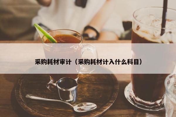 采购耗材审计（采购耗材计入什么科目）