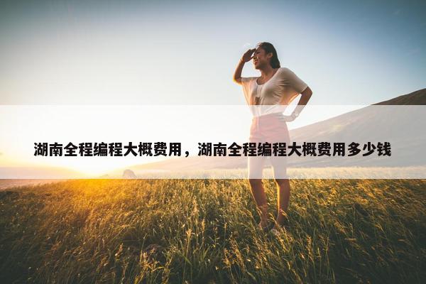湖南全程编程大概费用，湖南全程编程大概费用多少钱