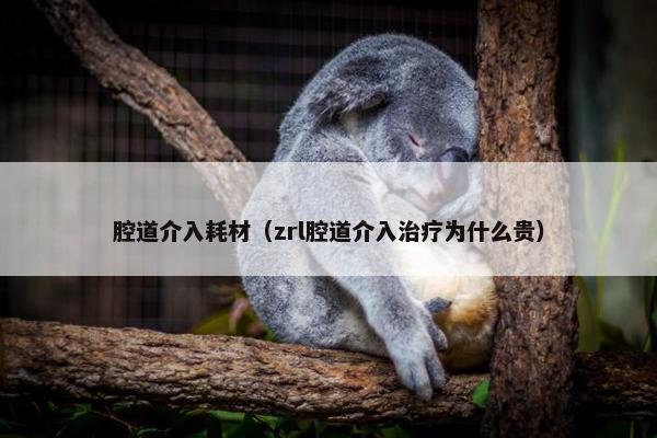 腔道介入耗材（zrl腔道介入治疗为什么贵）