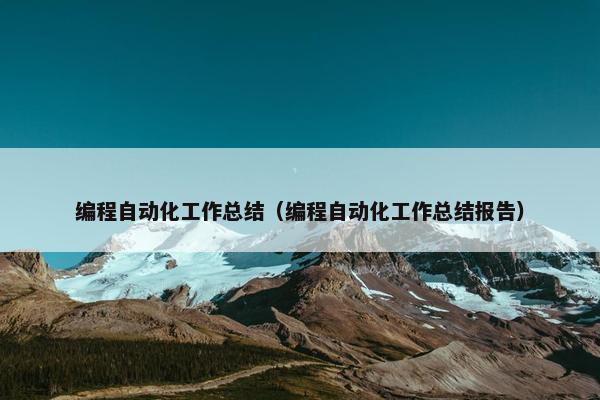 编程自动化工作总结（编程自动化工作总结报告）