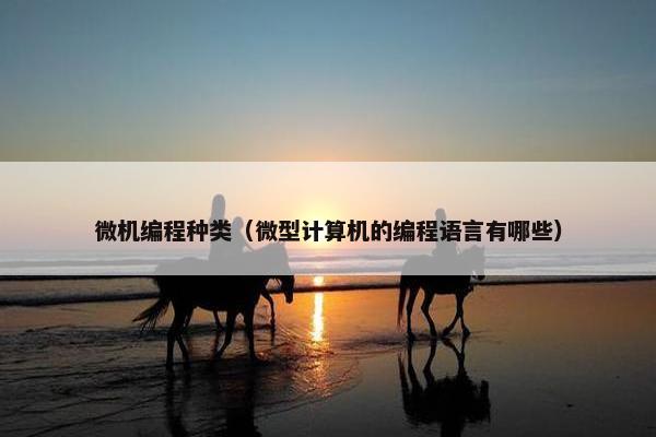 微机编程种类（微型计算机的编程语言有哪些）