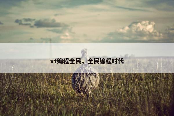 vf编程全民，全民编程时代