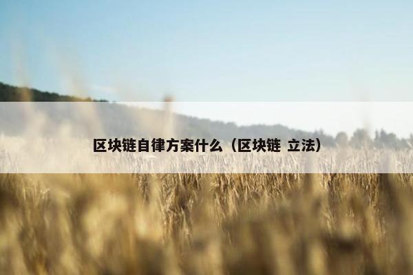 区块链自律方案什么（区块链 立法）