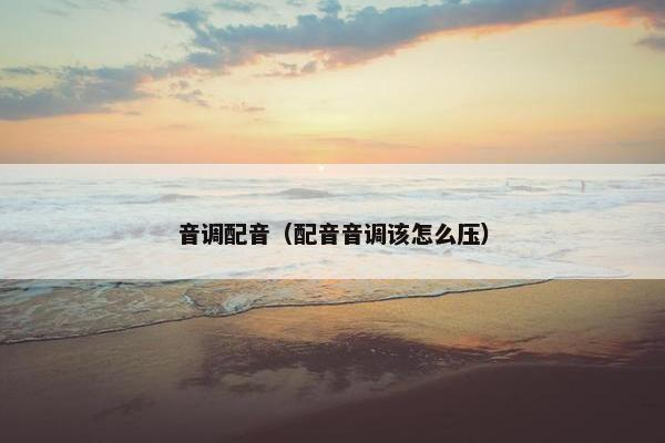 音调配音（配音音调该怎么压）
