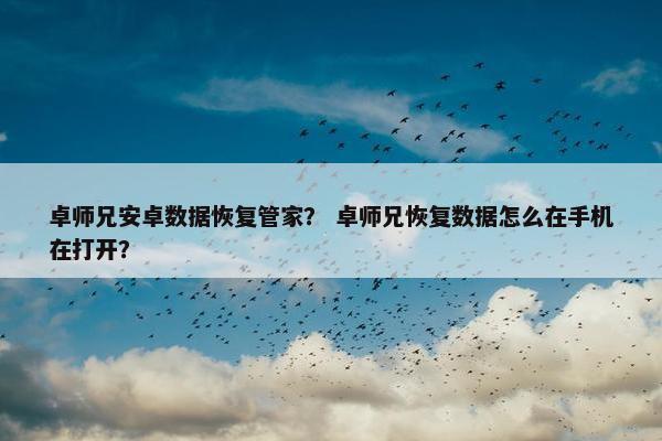 卓师兄安卓数据恢复管家？ 卓师兄恢复数据怎么在手机在打开？