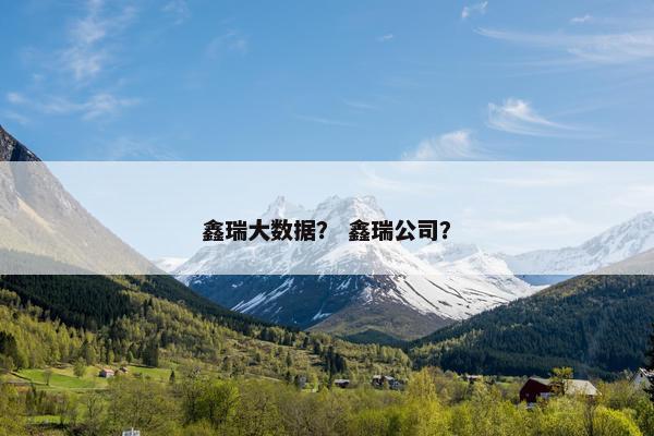 鑫瑞大数据？ 鑫瑞公司？