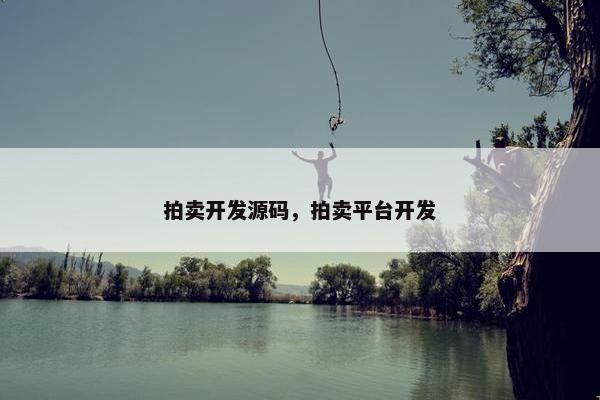 拍卖开发源码，拍卖平台开发