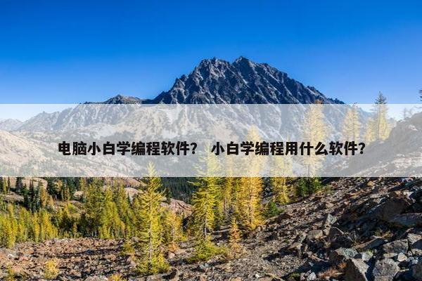 电脑小白学编程软件？ 小白学编程用什么软件？