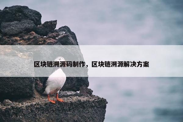 区块链溯源码制作，区块链溯源解决方案
