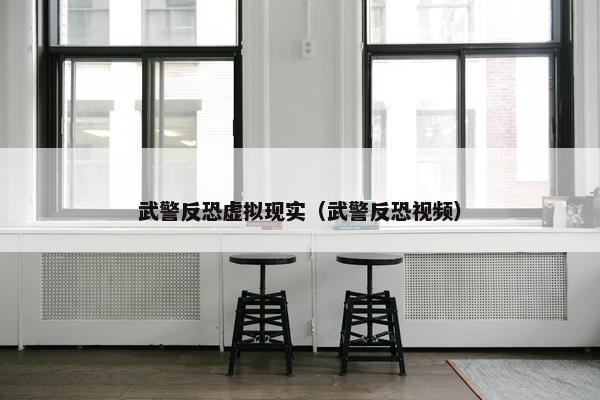 武警反恐虚拟现实（武警反恐视频）