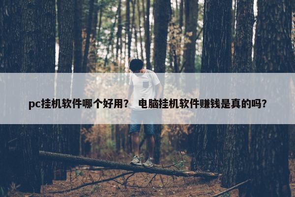 pc挂机软件哪个好用？ 电脑挂机软件赚钱是真的吗？