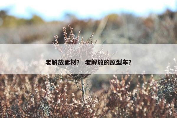 老解放素材？ 老解放的原型车？
