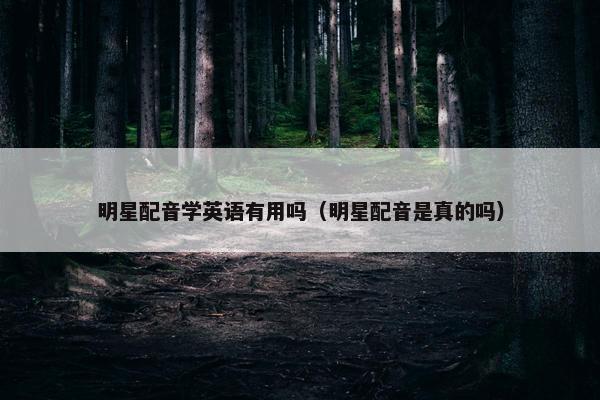 明星配音学英语有用吗（明星配音是真的吗）