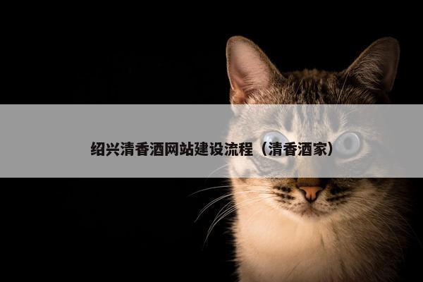 绍兴清香酒网站建设流程（清香酒家）