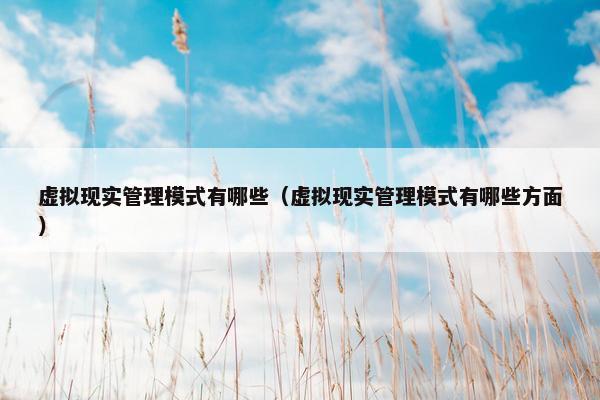 虚拟现实管理模式有哪些（虚拟现实管理模式有哪些方面）