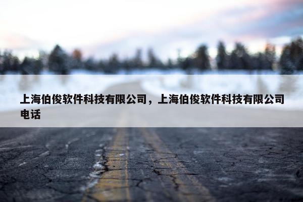 上海伯俊软件科技有限公司，上海伯俊软件科技有限公司电话