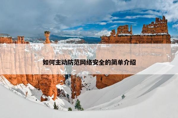 如何主动防范网络安全的简单介绍