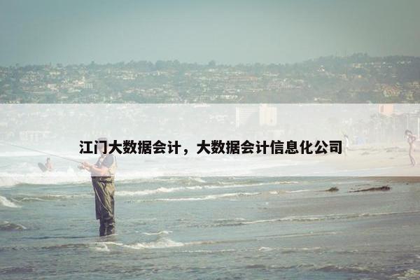 江门大数据会计，大数据会计信息化公司