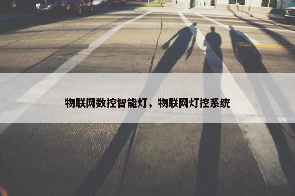 物联网数控智能灯，物联网灯控系统