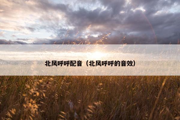 北风呼呼配音（北风呼呼的音效）