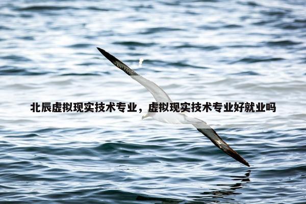 北辰虚拟现实技术专业，虚拟现实技术专业好就业吗