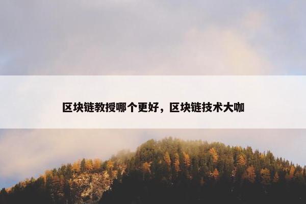 区块链教授哪个更好，区块链技术大咖
