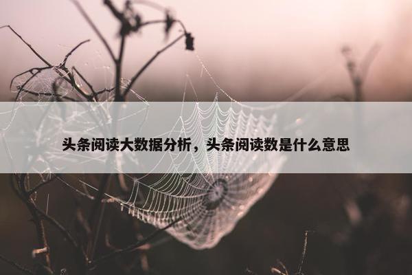 头条阅读大数据分析，头条阅读数是什么意思