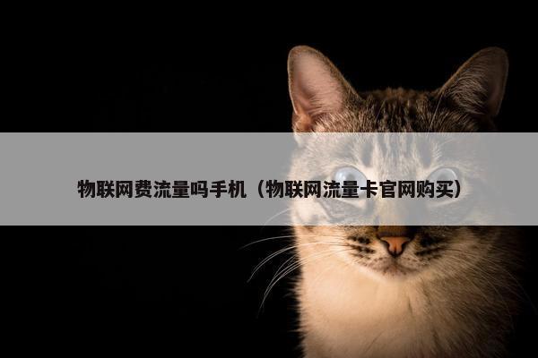 物联网费流量吗手机（物联网流量卡官网购买）