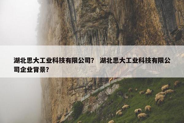 湖北思大工业科技有限公司？ 湖北思大工业科技有限公司企业背景？
