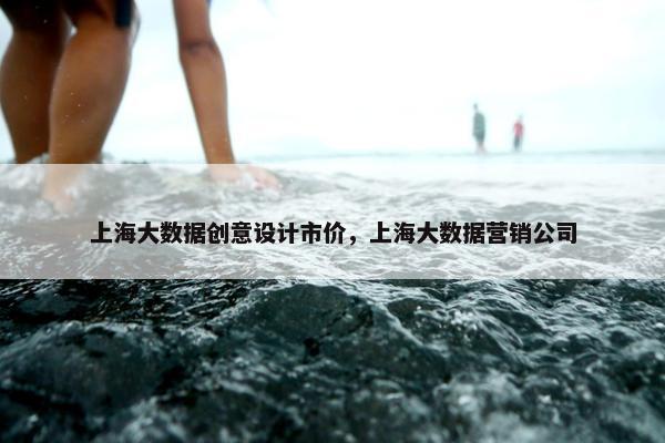 上海大数据创意设计市价，上海大数据营销公司