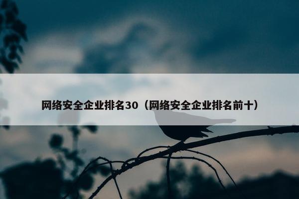 网络安全企业排名30（网络安全企业排名前十）