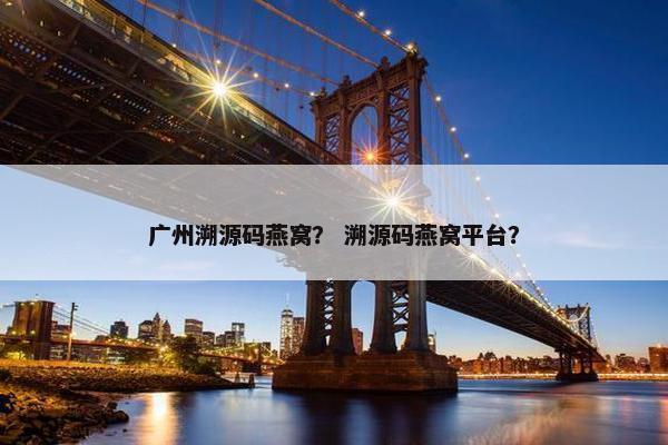 广州溯源码燕窝？ 溯源码燕窝平台？