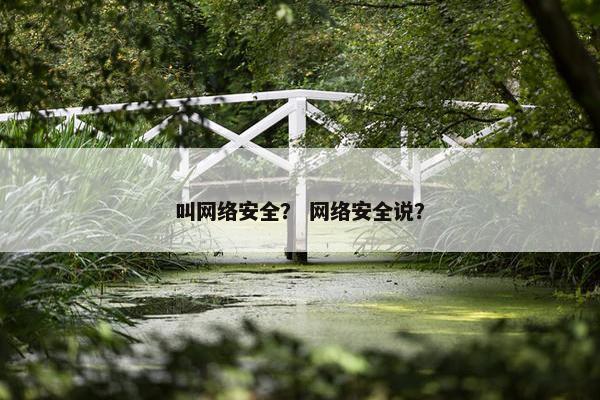 叫网络安全？ 网络安全说？