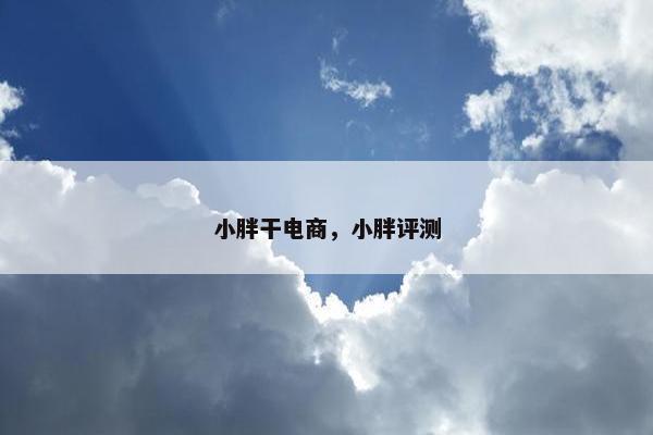 小胖干电商，小胖评测
