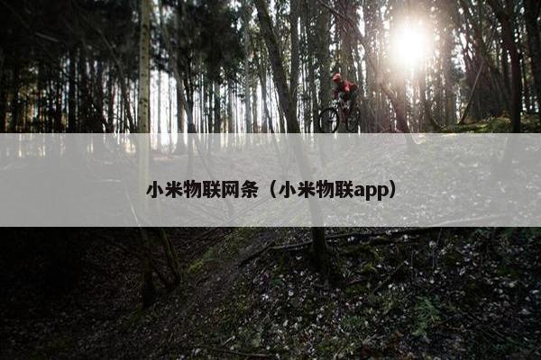 小米物联网条（小米物联app）