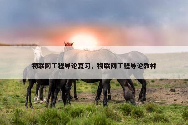 物联网工程导论复习，物联网工程导论教材