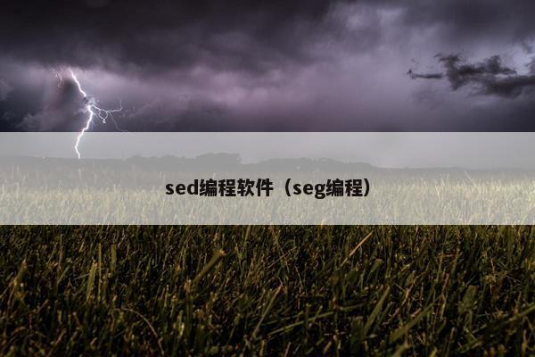 sed编程软件（seg编程）