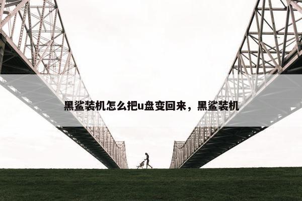 黑鲨装机怎么把u盘变回来，黑鲨装机