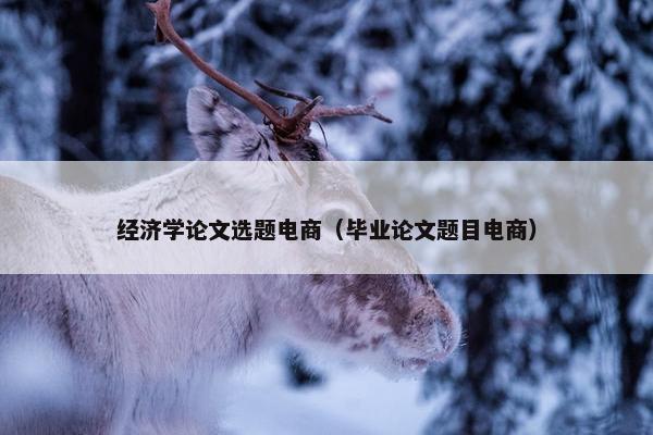 经济学论文选题电商（毕业论文题目电商）