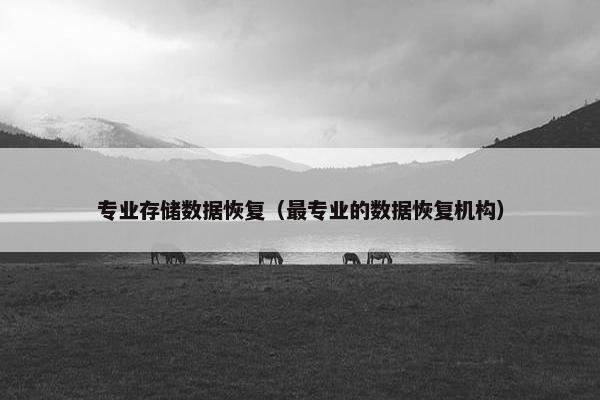 专业存储数据恢复（最专业的数据恢复机构）