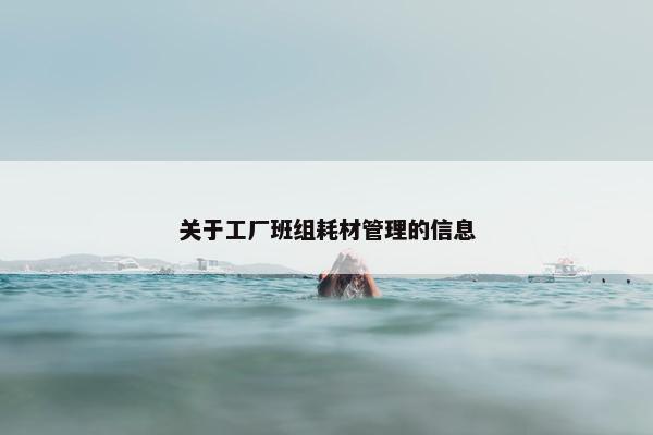 关于工厂班组耗材管理的信息