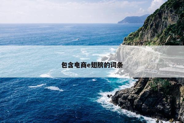 包含电商e翅膀的词条