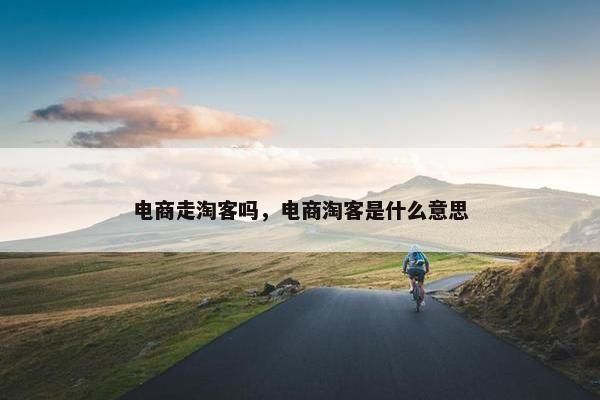 电商走淘客吗，电商淘客是什么意思