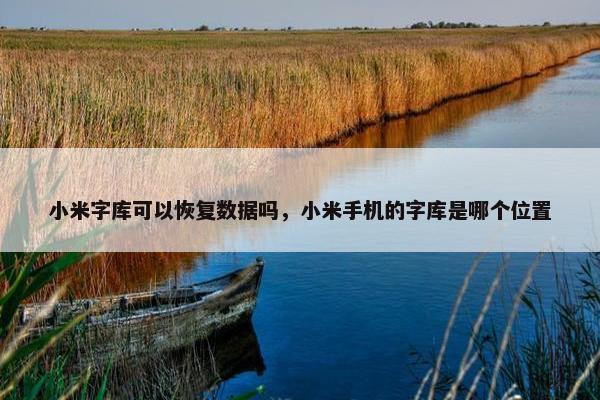 小米字库可以恢复数据吗，小米手机的字库是哪个位置