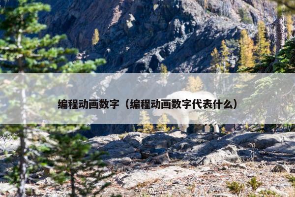 编程动画数字（编程动画数字代表什么）