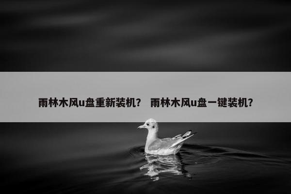 雨林木风u盘重新装机？ 雨林木风u盘一键装机？