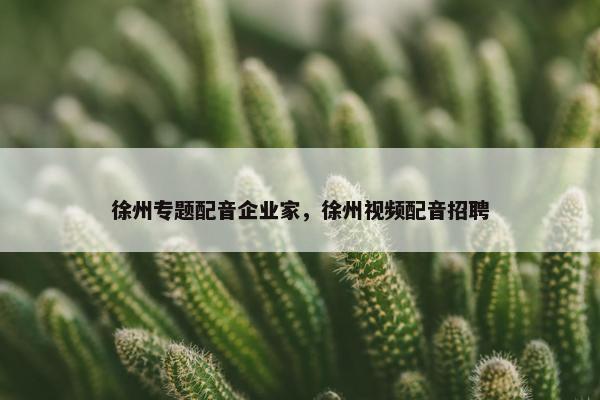 徐州专题配音企业家，徐州视频配音招聘