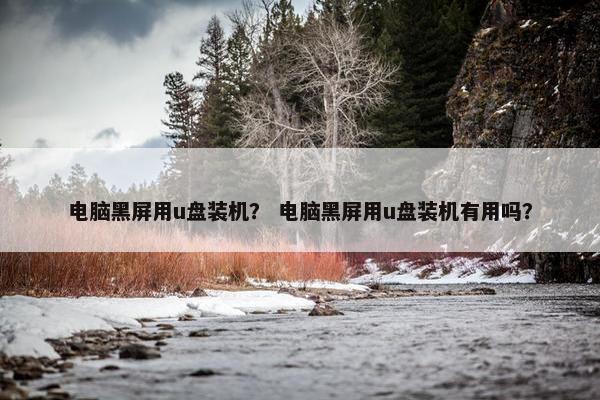 电脑黑屏用u盘装机？ 电脑黑屏用u盘装机有用吗？